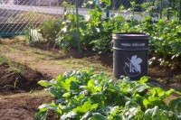 Evangelion Nerv Bucket in Garden